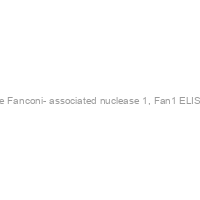 Mouse Fanconi- associated nuclease 1, Fan1 ELISA KIT